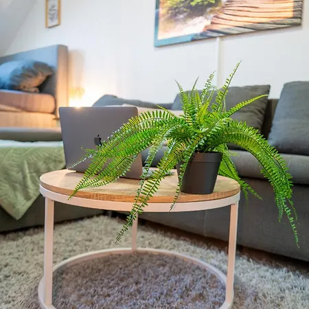 Apartment Olymp Gemuetliche Dachgeschosswhg Im Herzen Neuss Apartmán