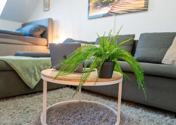 Apartment Olymp Gemuetliche Dachgeschosswhg Im Herzen Neuss شقة